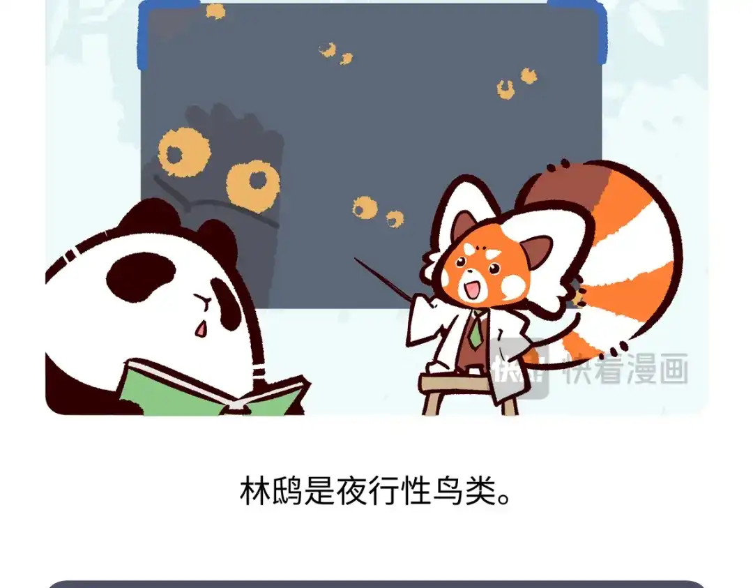 《胖达x胖达》第286话 第18页