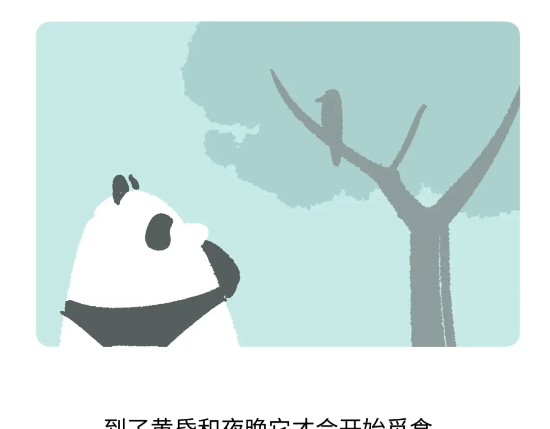 《胖达x胖达》第286话 第20页