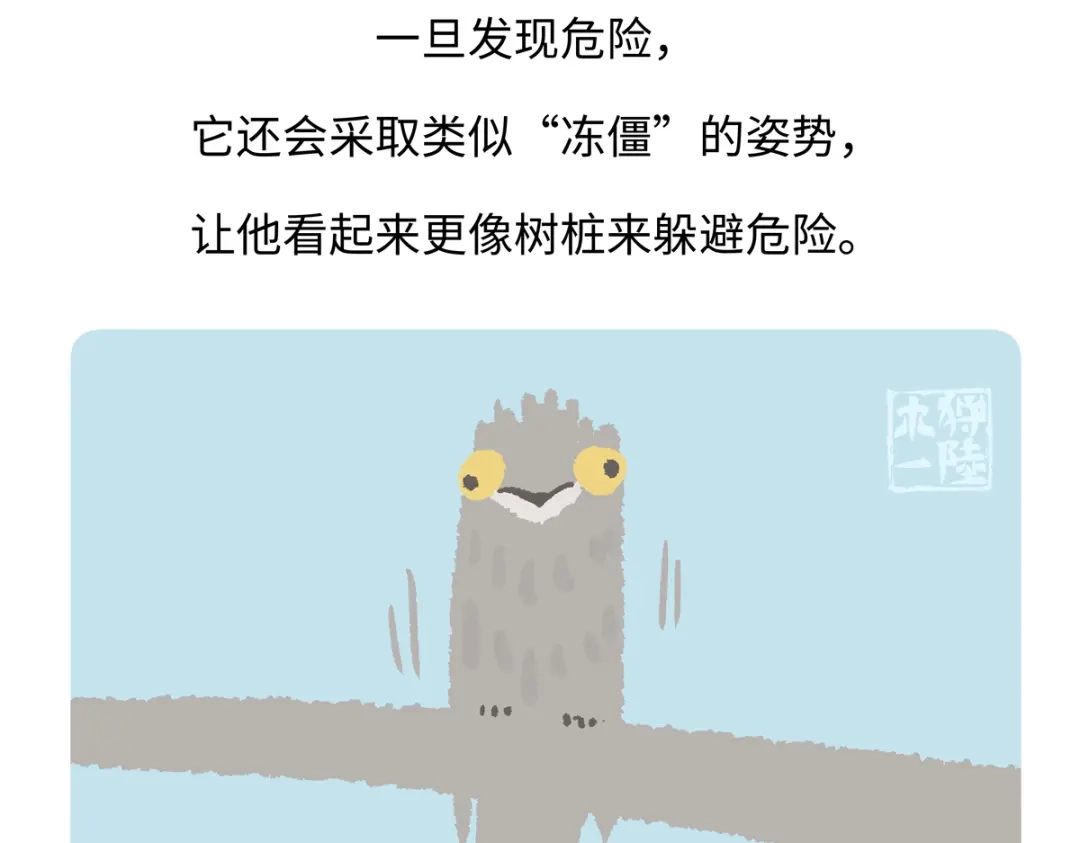 《胖达x胖达》第286话 第27页