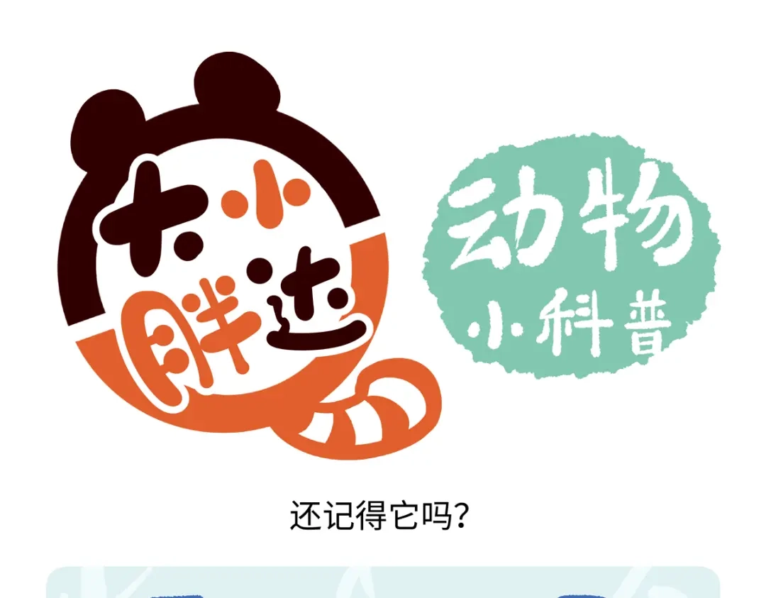 《胖达x胖达》第286话 第23页