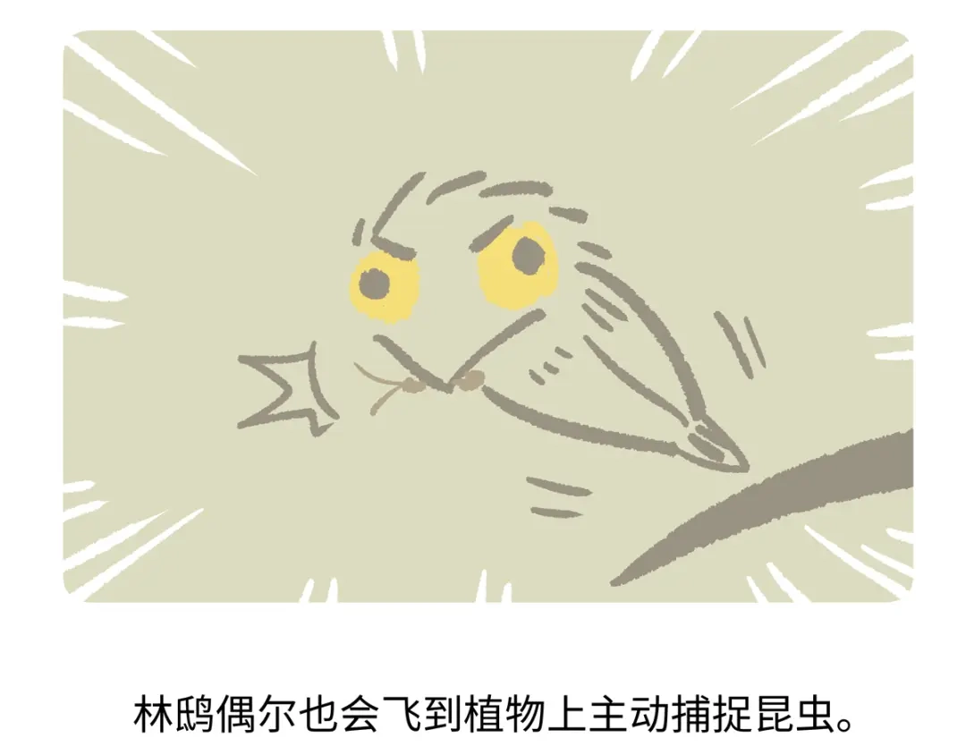 《胖达x胖达》第287话 第20页