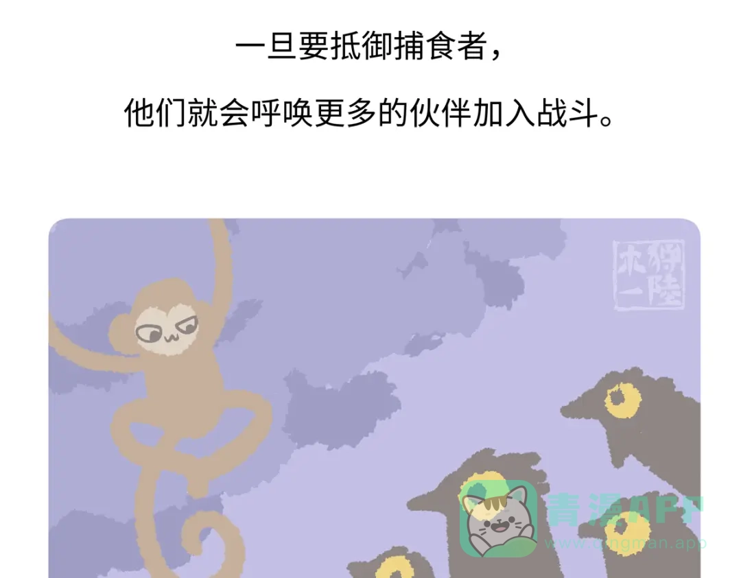 《胖达x胖达》第287话 第26页