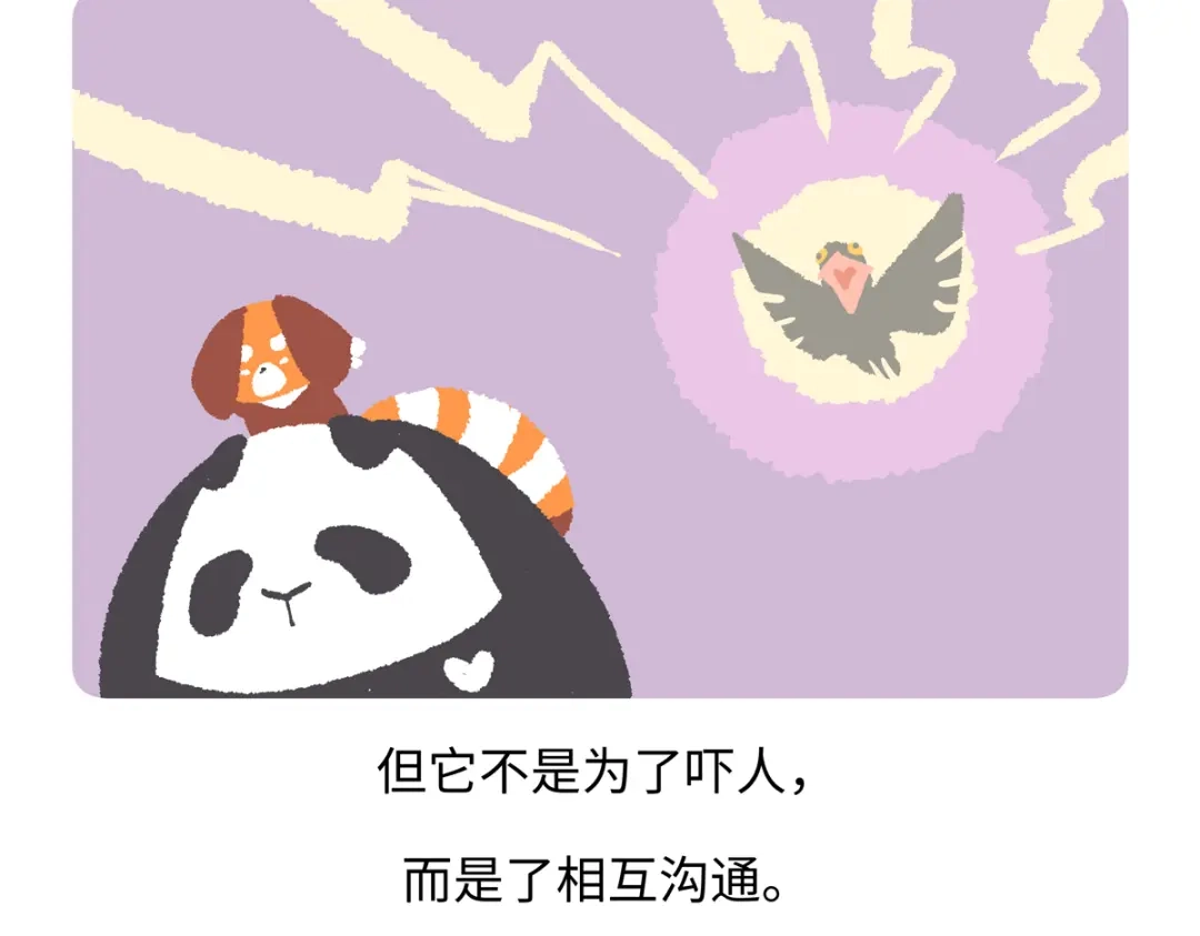 《胖达x胖达》第287话 第24页