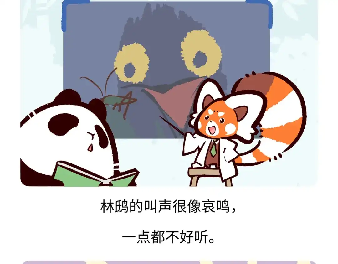 《胖达x胖达》第287话 第23页