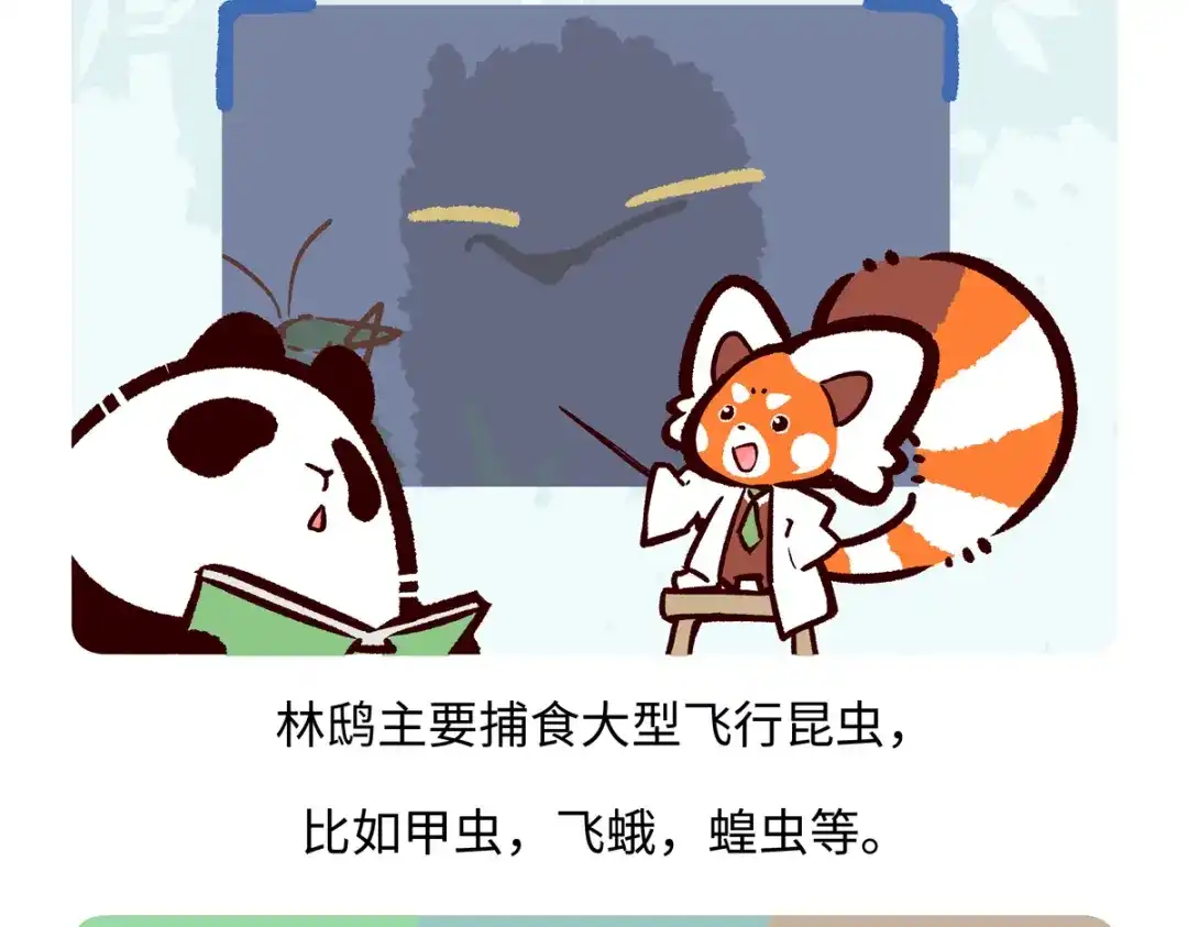 《胖达x胖达》第287话 第18页