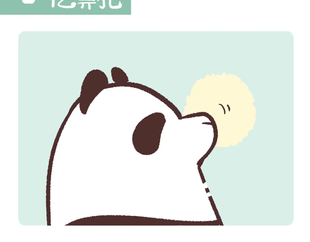 《胖达x胖达》第287话 第2页