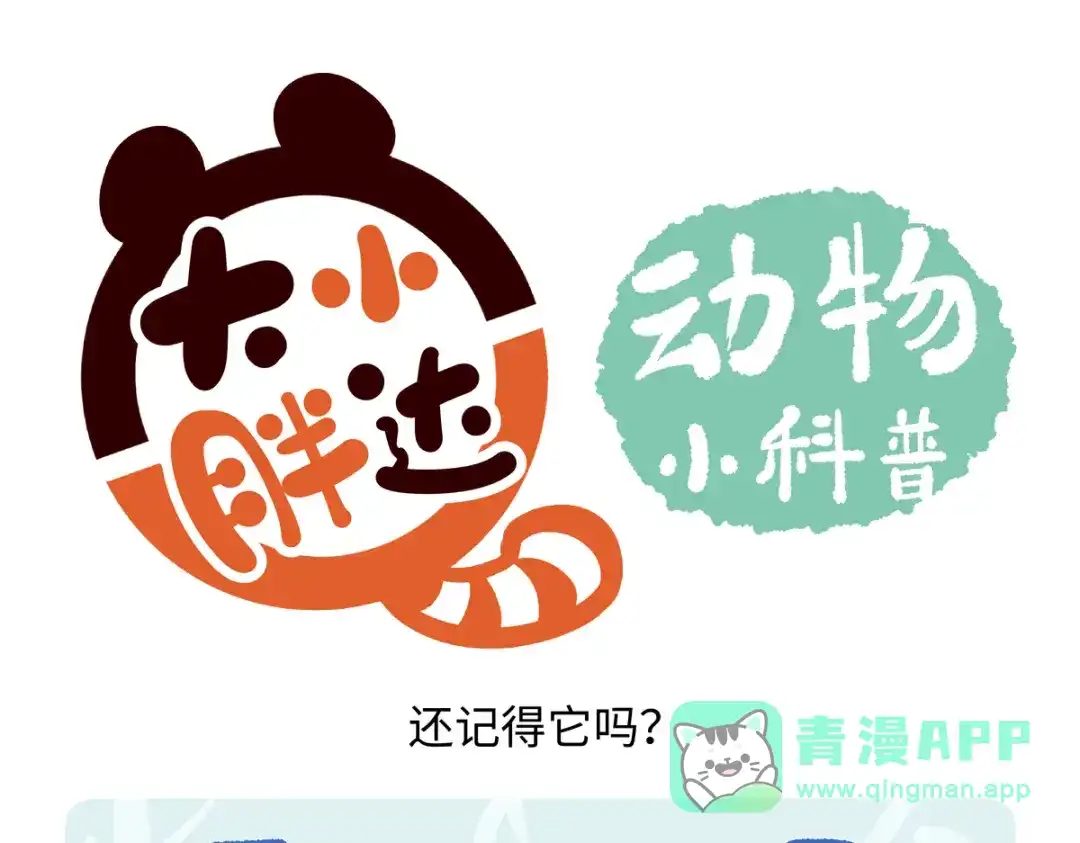 《胖达x胖达》第288话 第16页