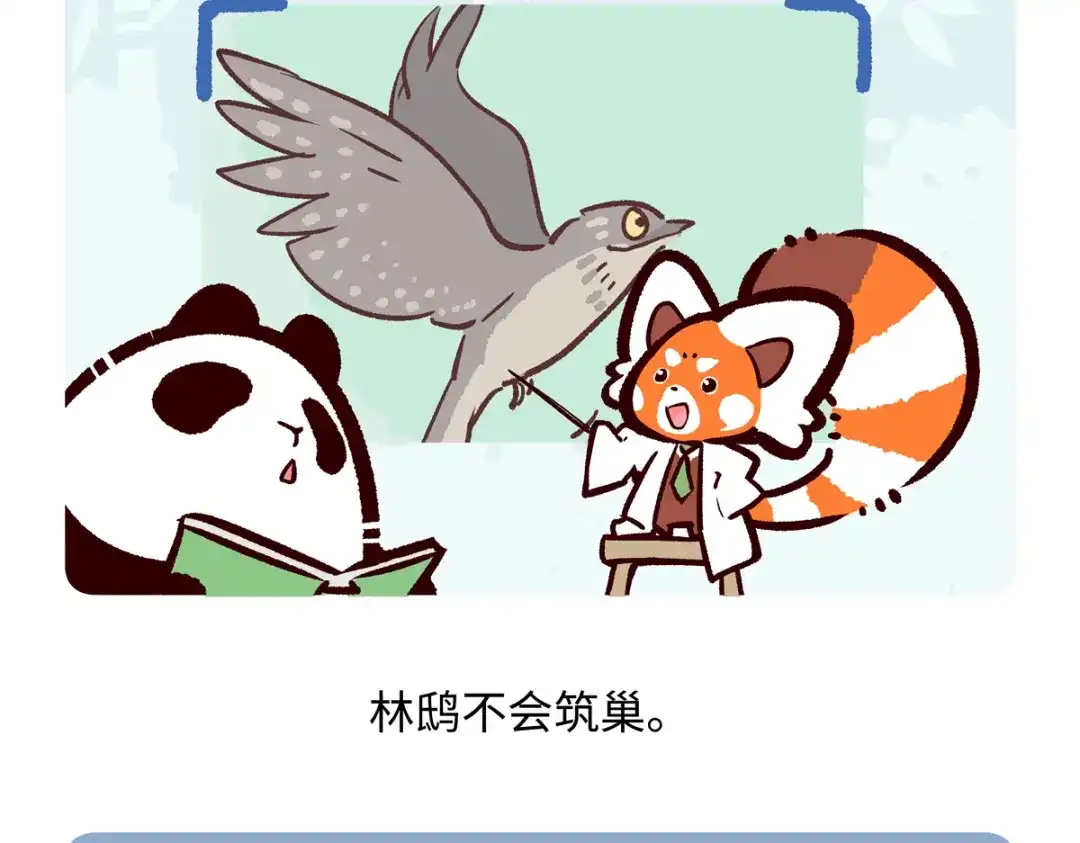 《胖达x胖达》第288话 第23页
