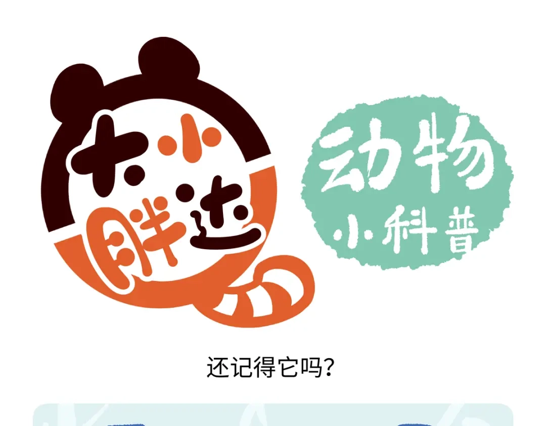 《胖达x胖达》第288话 第22页