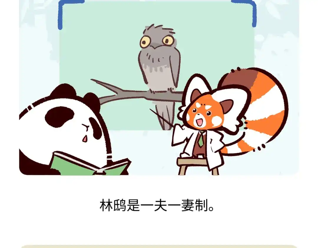 《胖达x胖达》第288话 第17页