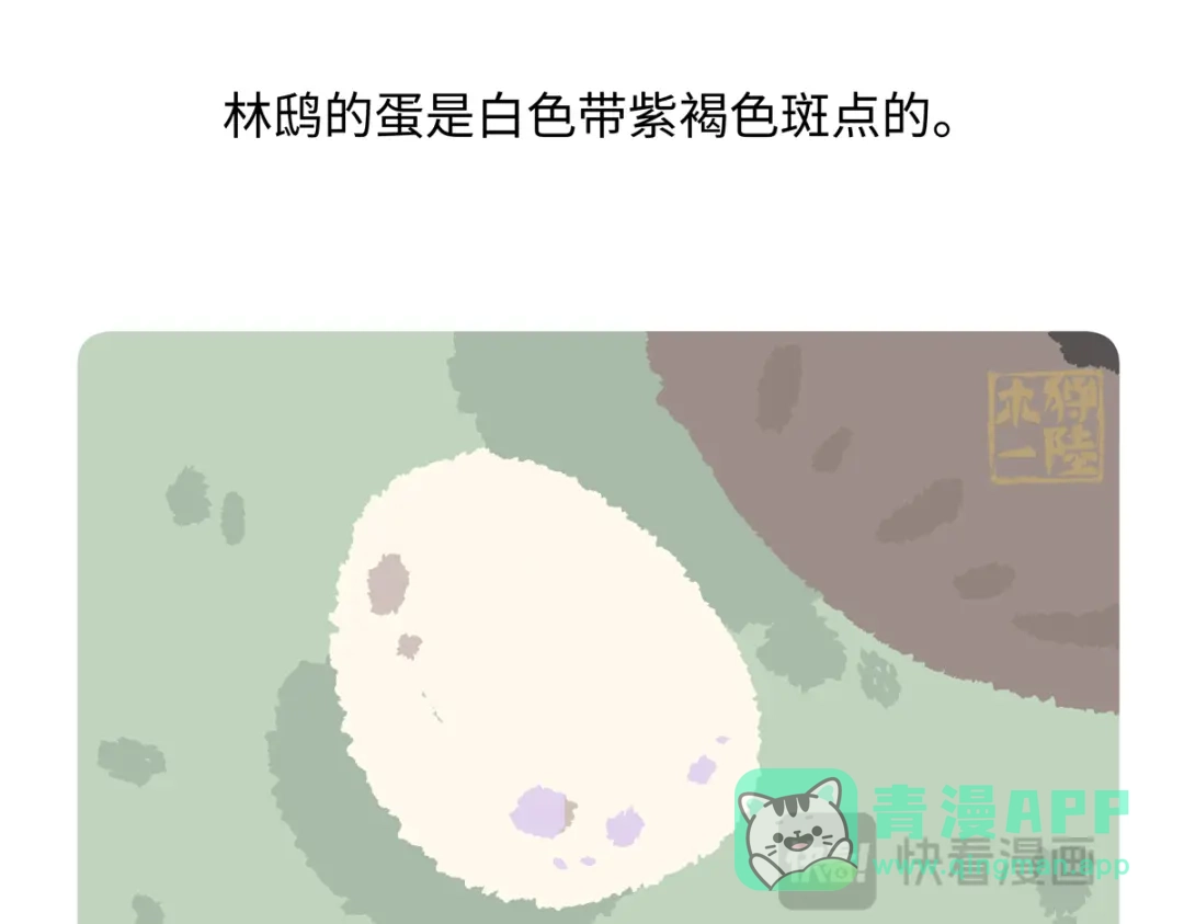 《胖达x胖达》第288话 第26页