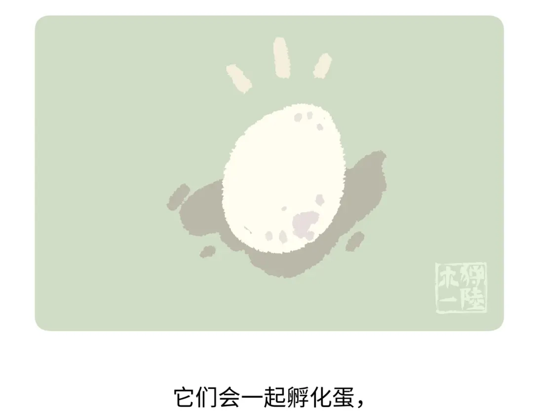 《胖达x胖达》第288话 第19页