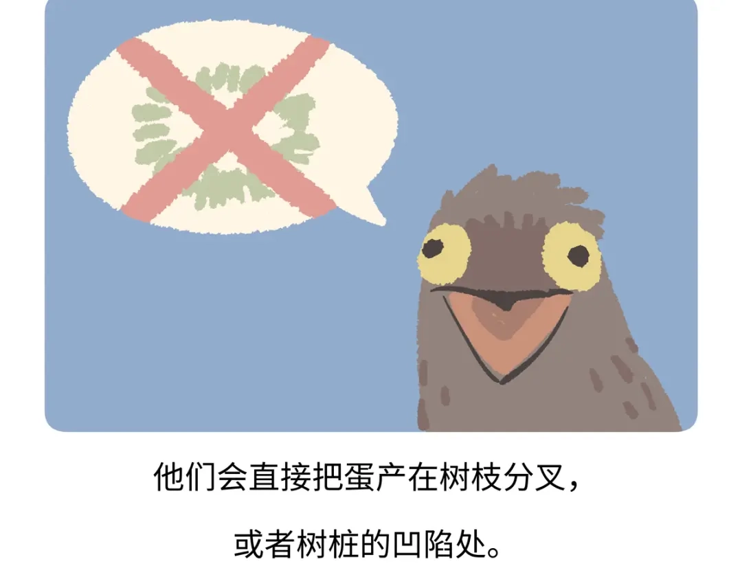 《胖达x胖达》第288话 第24页