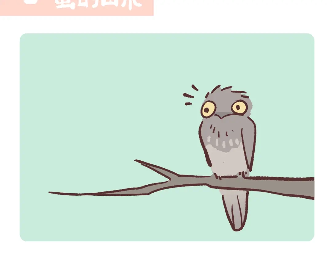 《胖达x胖达》第288话 第12页
