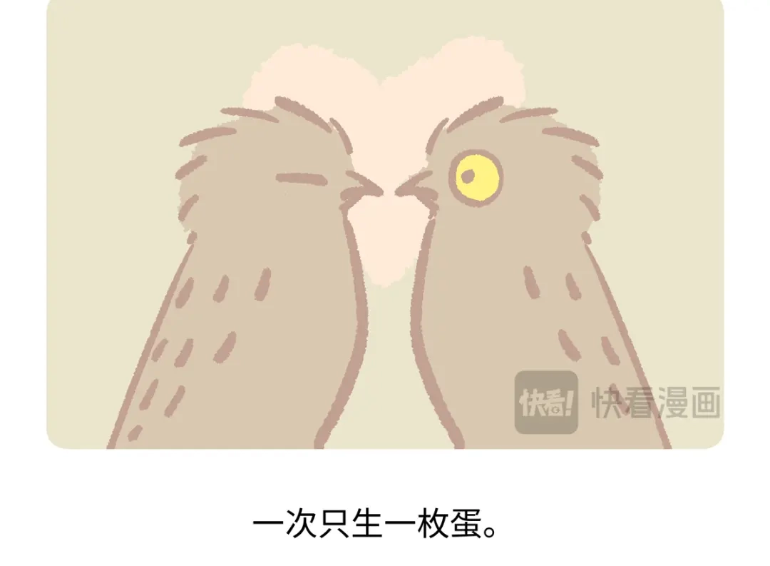 《胖达x胖达》第288话 第18页