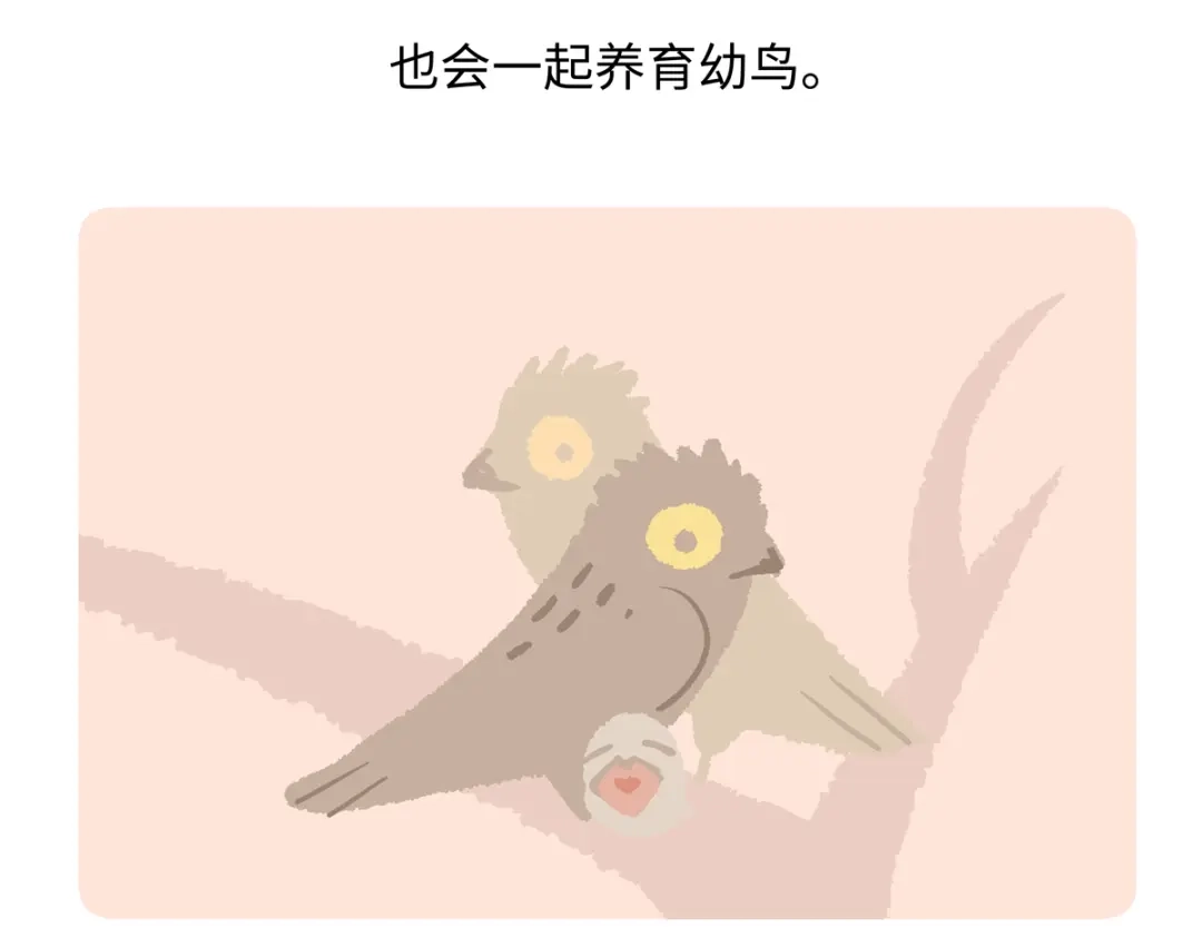 《胖达x胖达》第288话 第20页