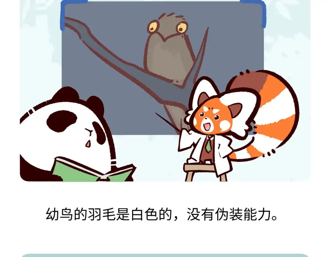 《胖达x胖达》第289话 第24页