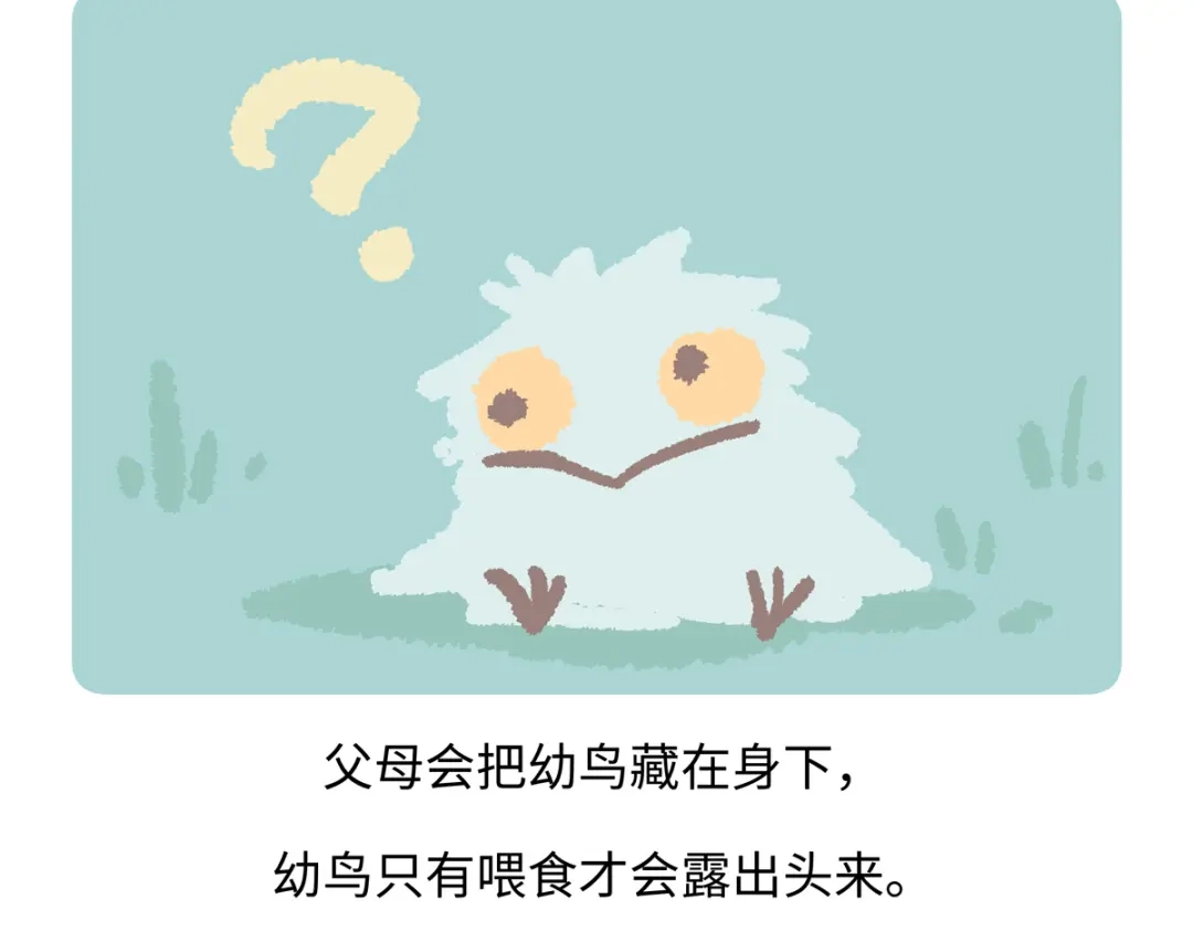 《胖达x胖达》第289话 第25页