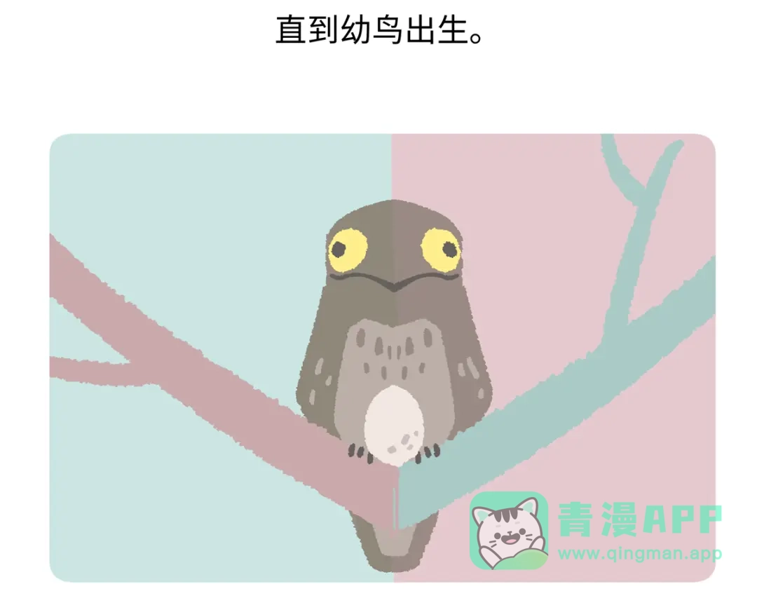 《胖达x胖达》第289话 第21页