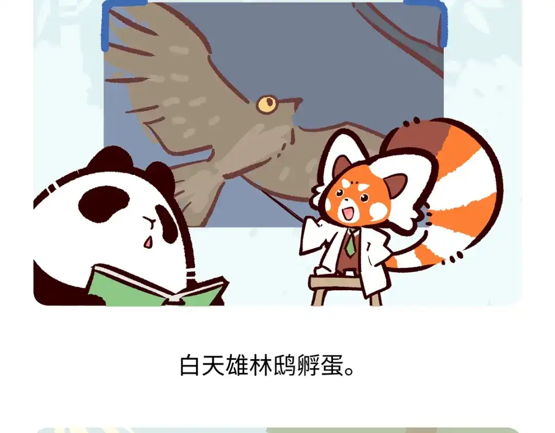 《胖达x胖达》第289话 第18页