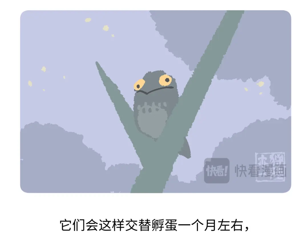 《胖达x胖达》第289话 第20页
