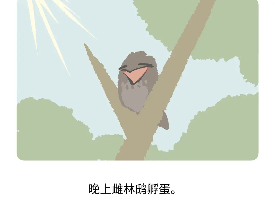 《胖达x胖达》第289话 第19页