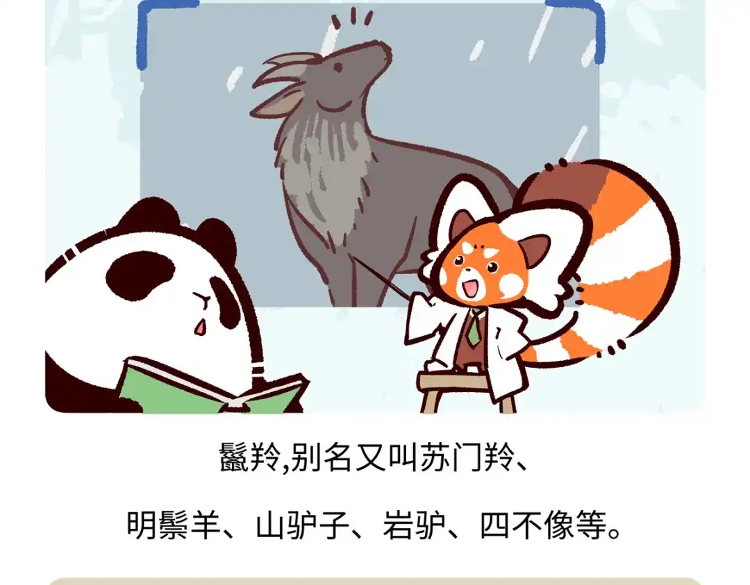 《胖达x胖达》第290话 第19页