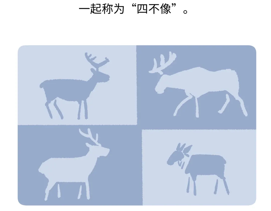 《胖达x胖达》第290话 第22页
