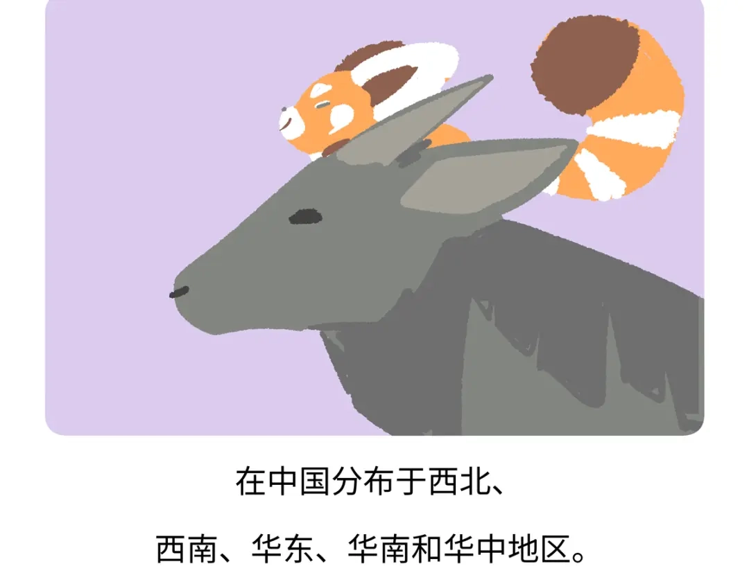 《胖达x胖达》第290话 第26页
