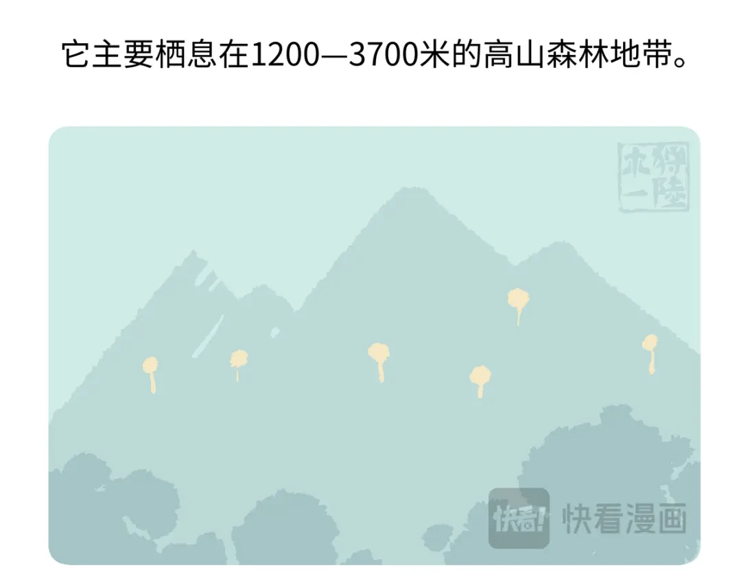 《胖达x胖达》第290话 第28页