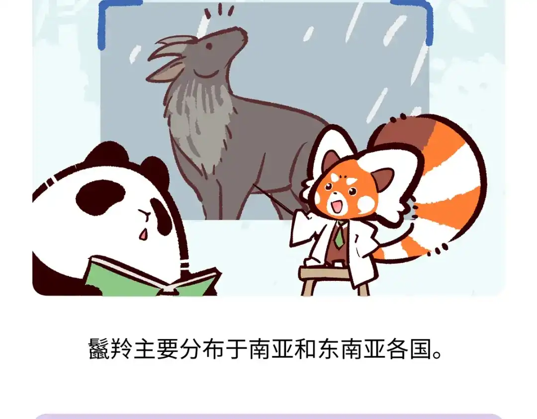 《胖达x胖达》第290话 第25页