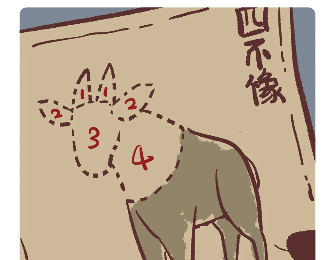 《胖达x胖达》第290话 第15页