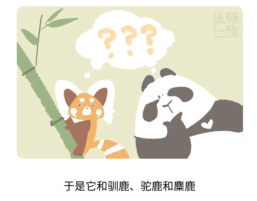 《胖达x胖达》第290话 第21页