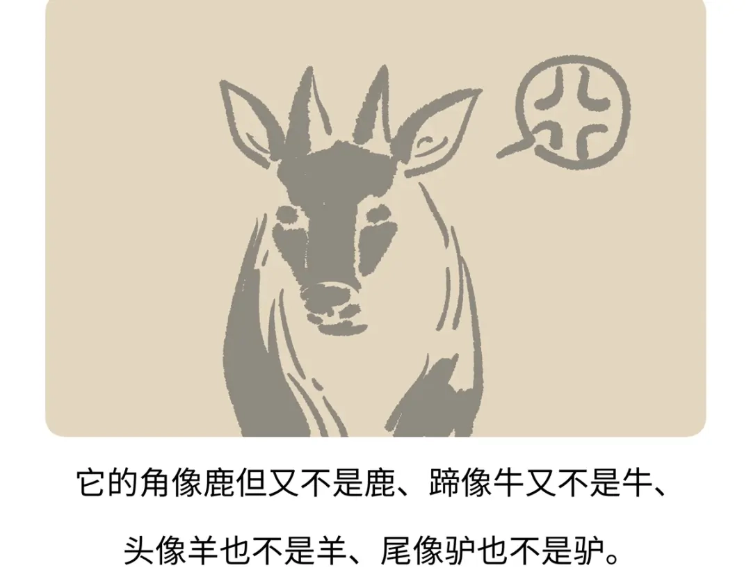 《胖达x胖达》第290话 第20页