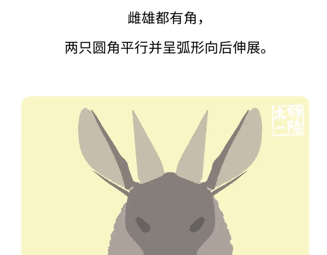 《胖达x胖达》第291话 第30页