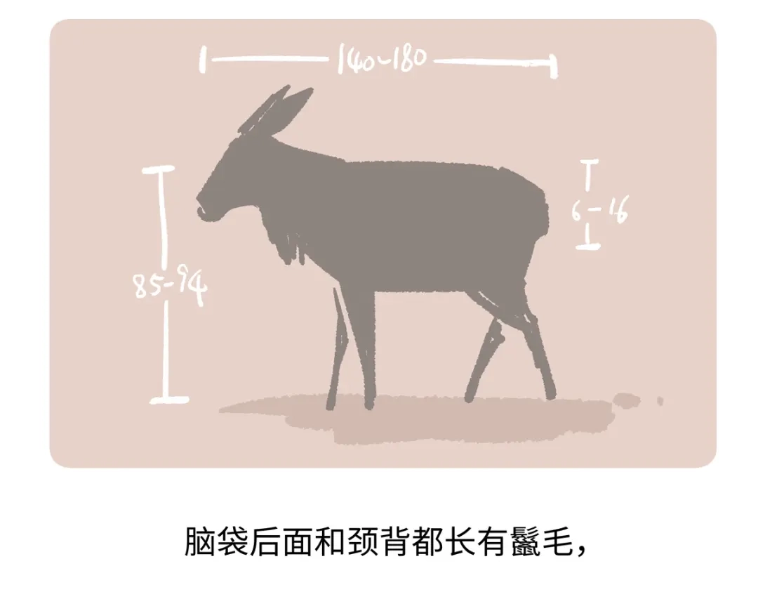 《胖达x胖达》第291话 第23页