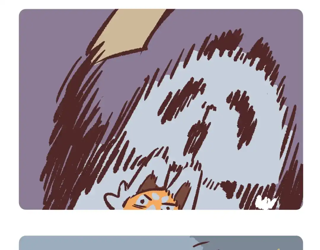 《胖达x胖达》第291话 第5页