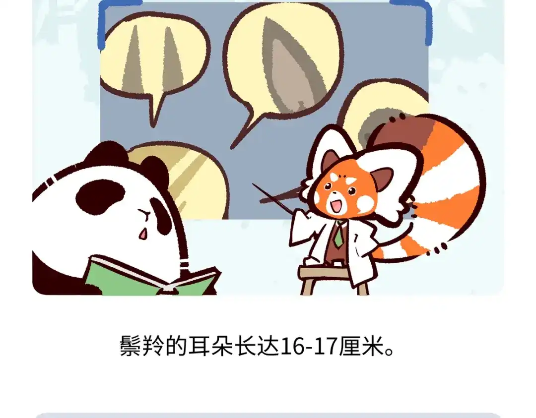 《胖达x胖达》第291话 第27页