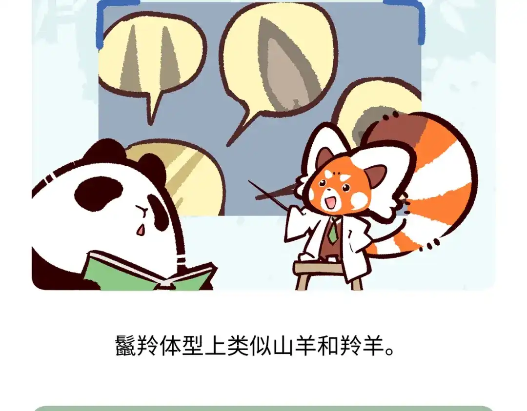 《胖达x胖达》第291话 第20页