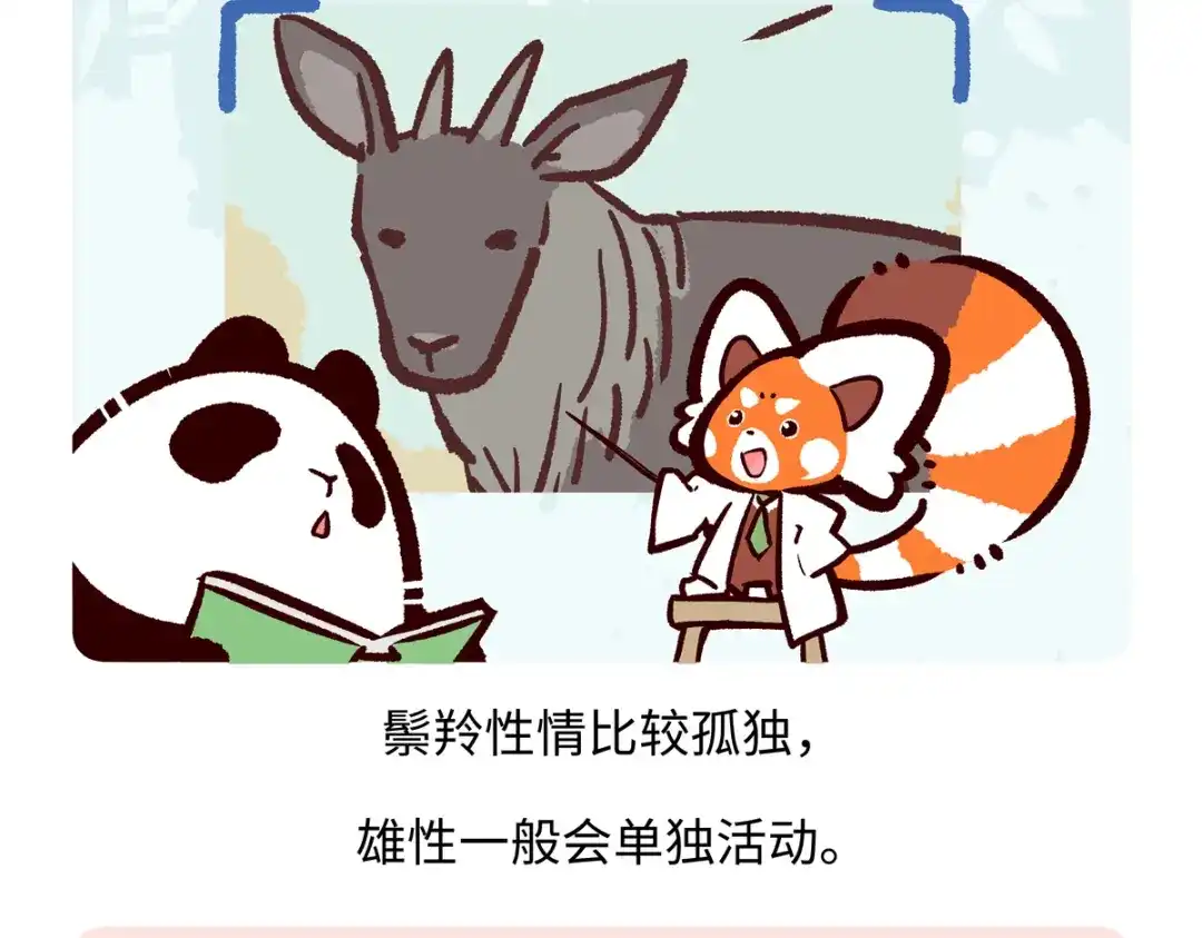 《胖达x胖达》第292话 第18页