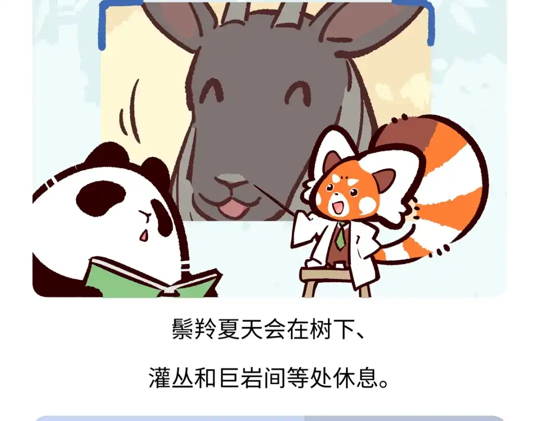 《胖达x胖达》第292话 第24页