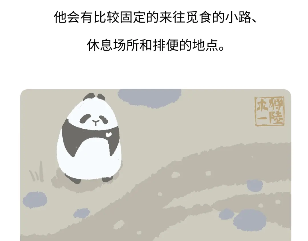 《胖达x胖达》第292话 第27页
