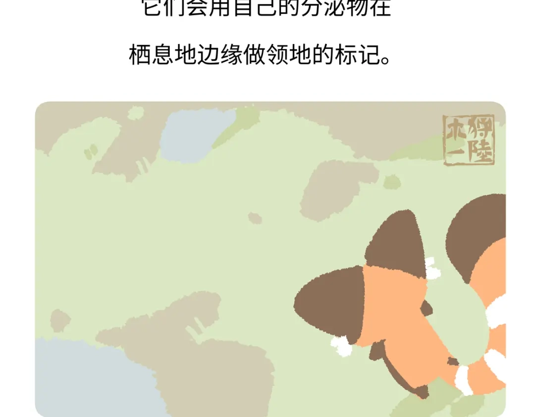 《胖达x胖达》第292话 第21页