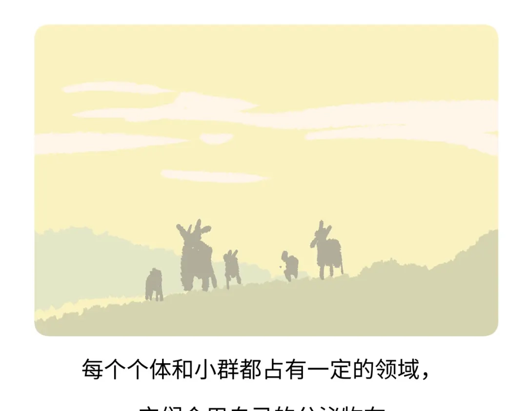 《胖达x胖达》第292话 第20页