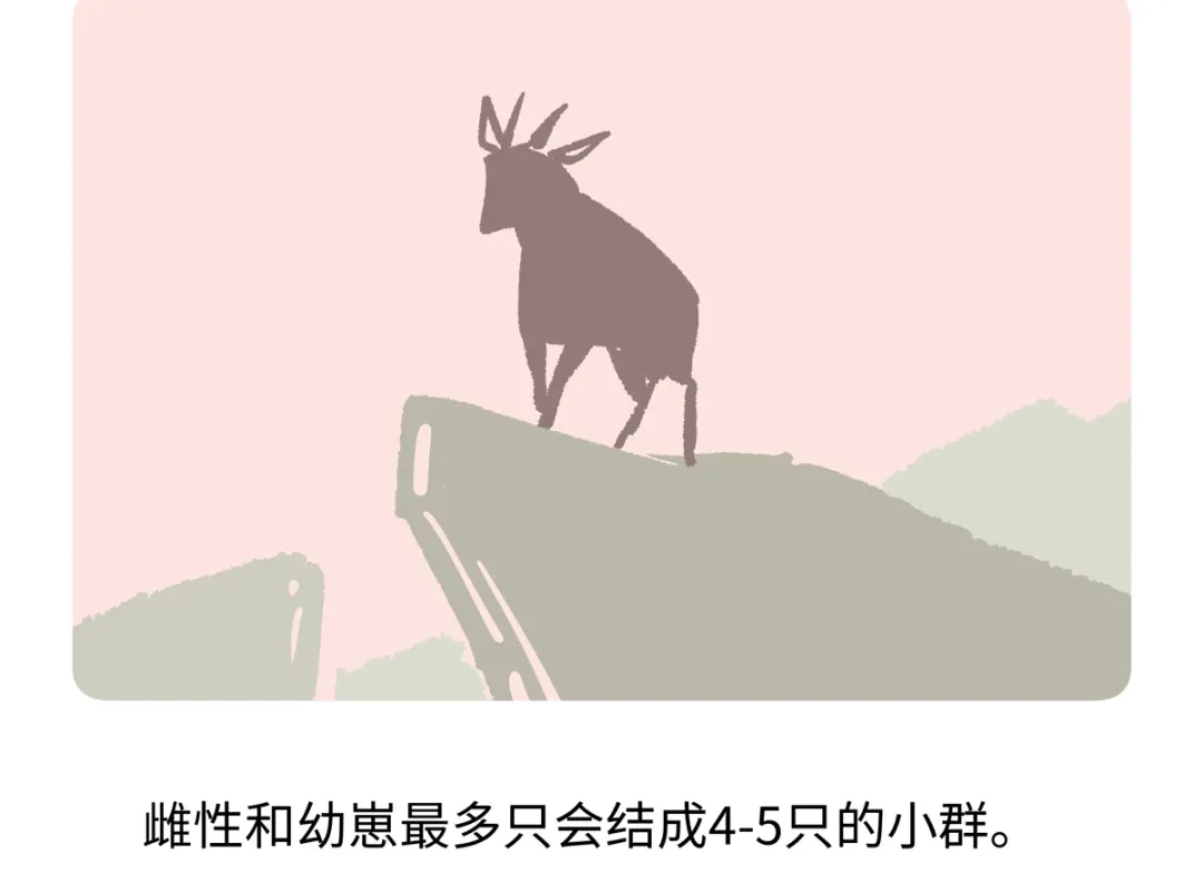 《胖达x胖达》第292话 第19页