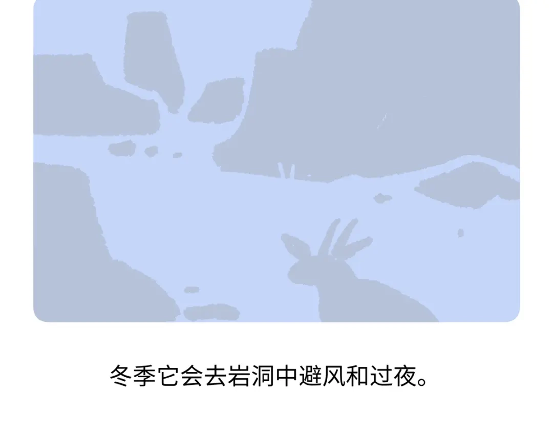 《胖达x胖达》第292话 第25页