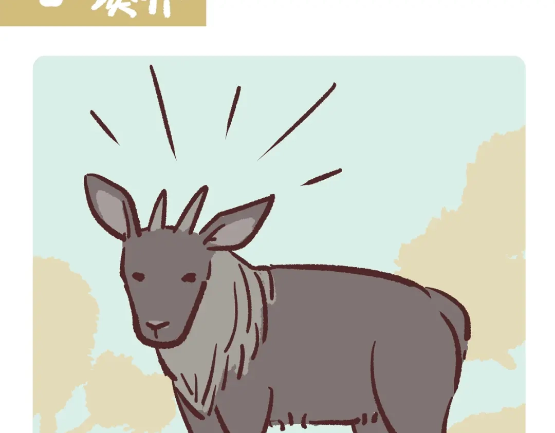 《胖达x胖达》第292话 第7页