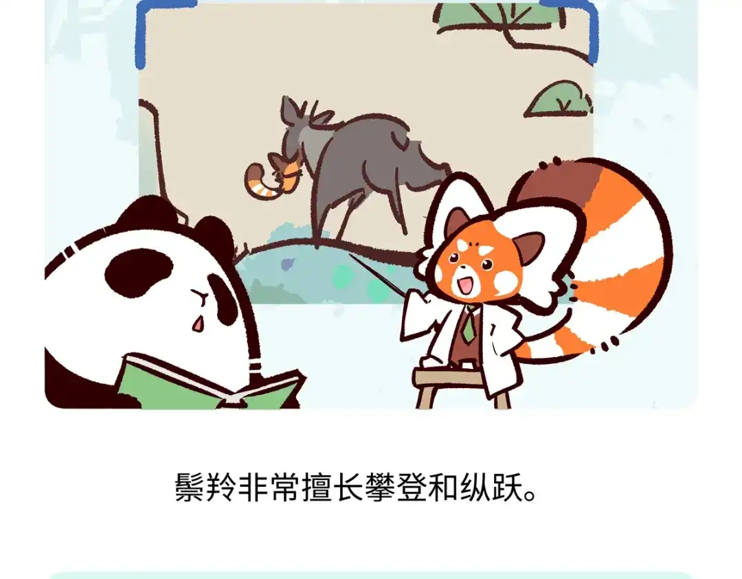 《胖达x胖达》第293话 第20页