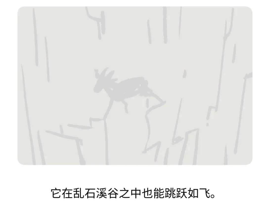 《胖达x胖达》第293话 第22页