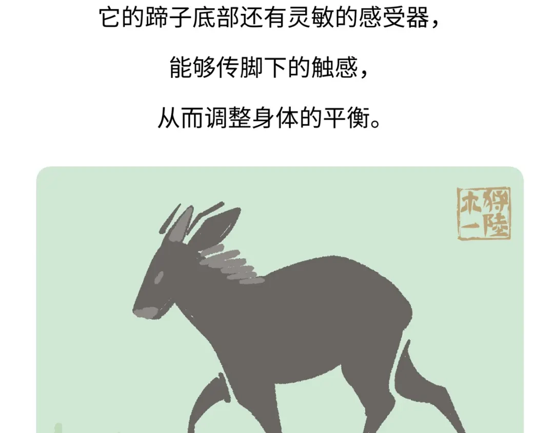 《胖达x胖达》第293话 第28页